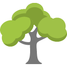 Saint Peters Tree Trimming