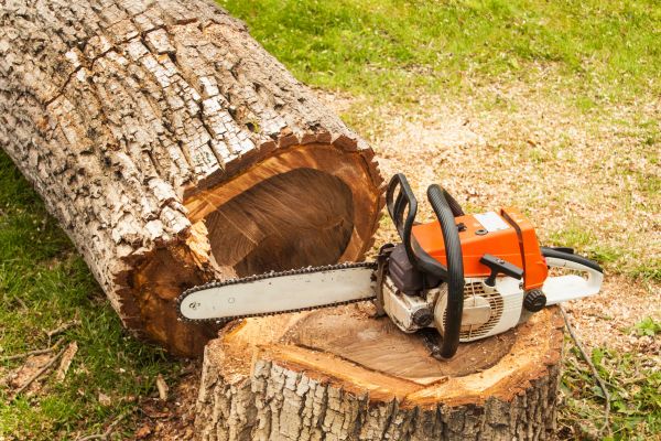 Tree Cutting Service in Saint Peters